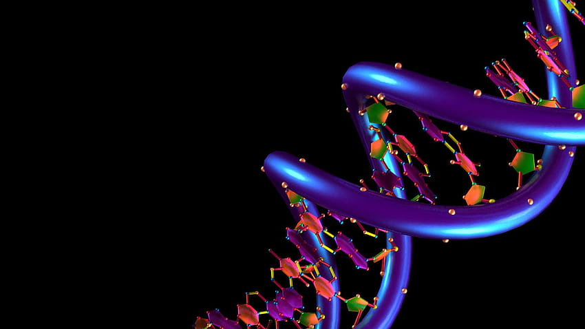 Köpek DNA'sı, renkli dna HD duvar kağıdı