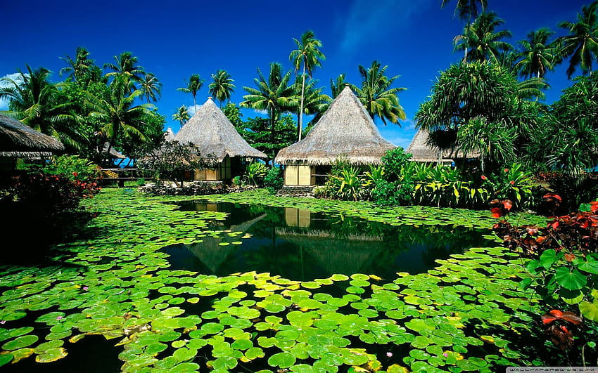 Cool Exotic, exotic places HD wallpaper | Pxfuel