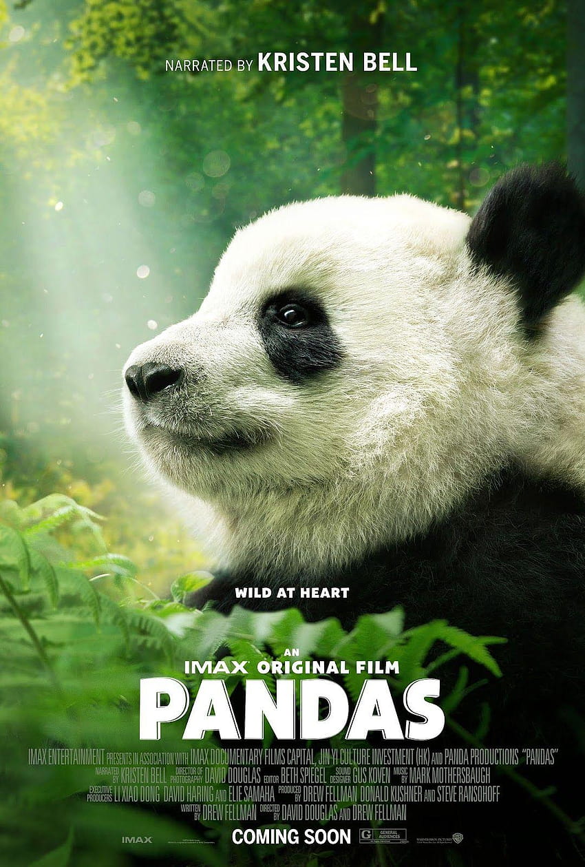 ChiIL Mama: IMAX® DOCUMENTARY PANDAS NARRATED BY KRISTEN BELL Begins, stone sour panda HD phone wallpaper
