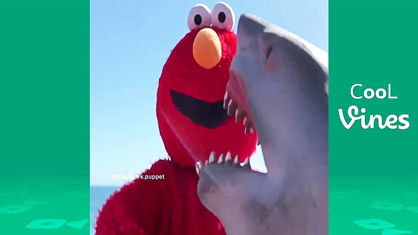 Shark Puppet Beyond Vine HD wallpaper | Pxfuel
