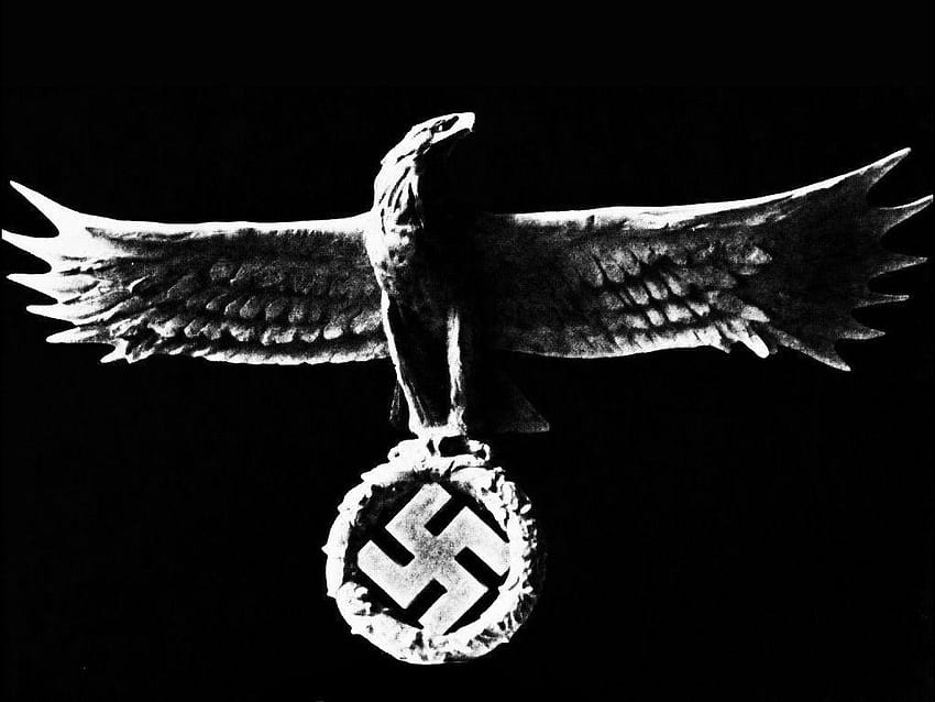 Nazi Eagle backgrounds by knikkerkoing, nazi logo HD wallpaper