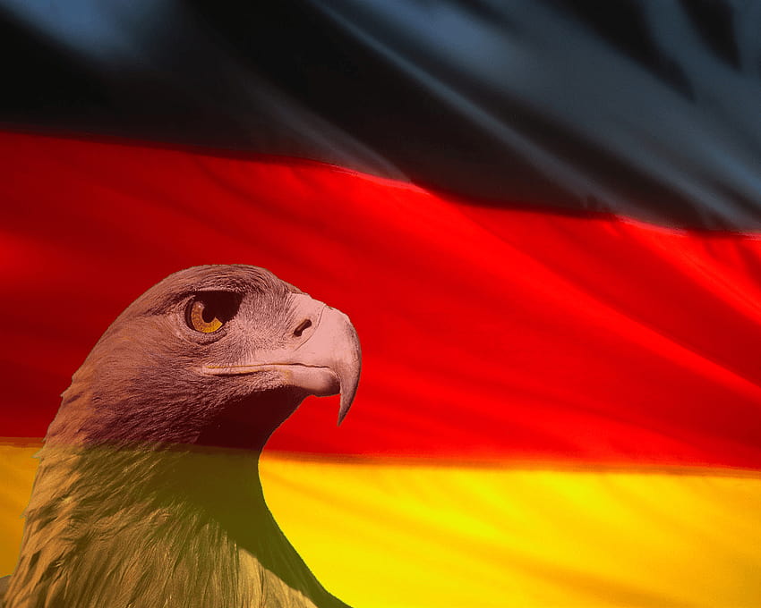 Deutschland, Fick Ja!, flagge deutschland Wallpaper HD