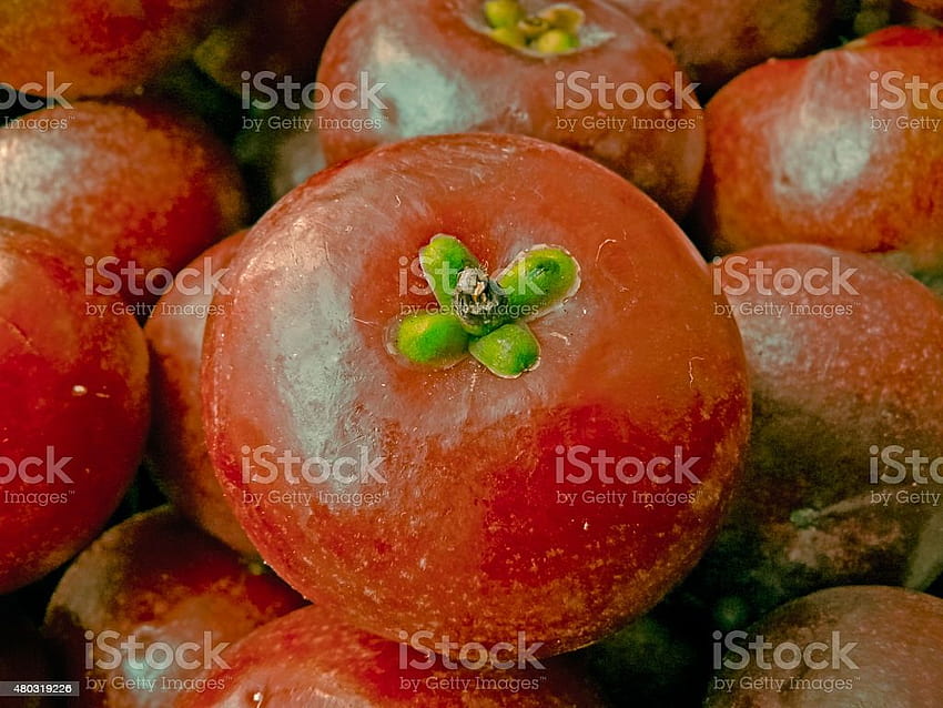 Fruits Garcinia Indica Kokam Fruit Stock HD wallpaper