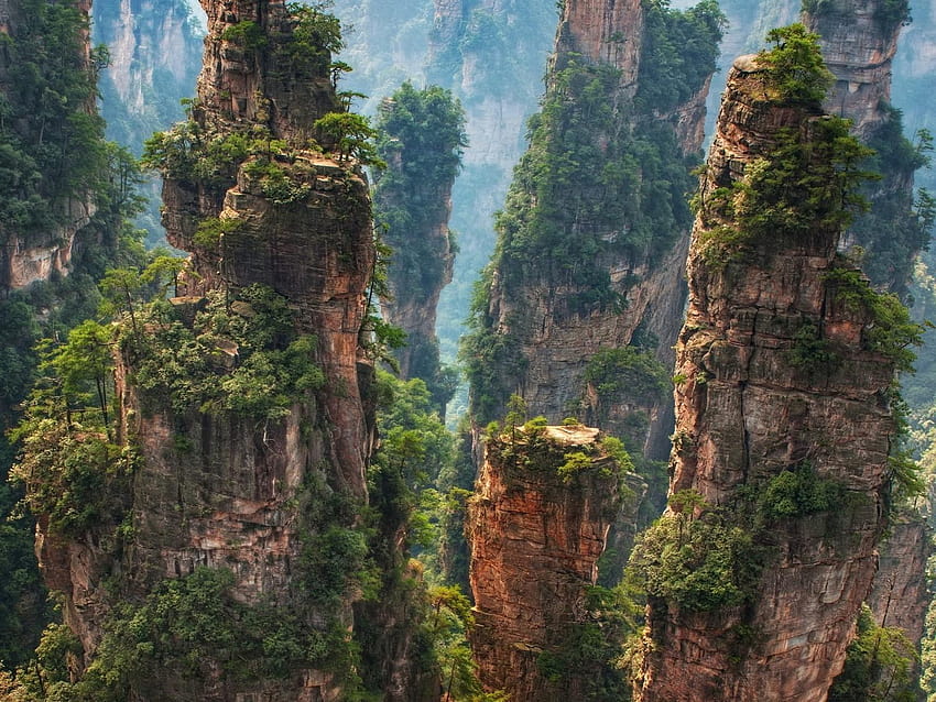 Национален горски парк Zhangjiajie, Китай, китайски национален парк HD тапет