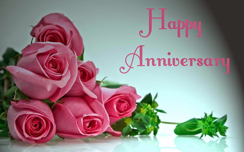 Jubiläum, Rosa, Blume, Rose, Gartenrosen, Schnittblumen, Hochzeitswünsche HD-Hintergrundbild