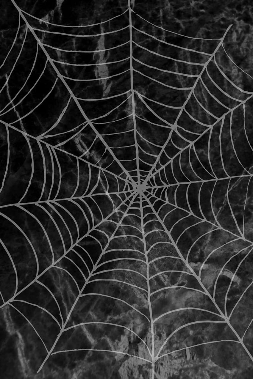 Aesthetic Spider Web 게시자: Samantha Walker, 거미줄 HD 전화 배경 화면