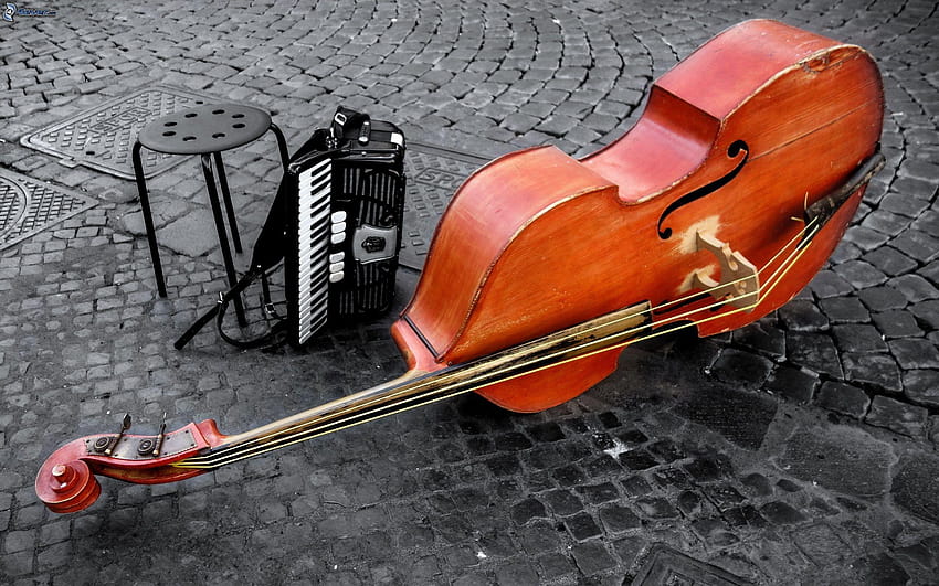 Cello, accordion HD wallpaper
