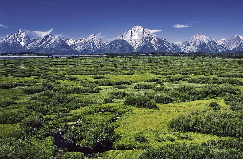 File:Willow Flats area and Teton Range in Grand Teton National, jackson lake grand teton national park HD wallpaper