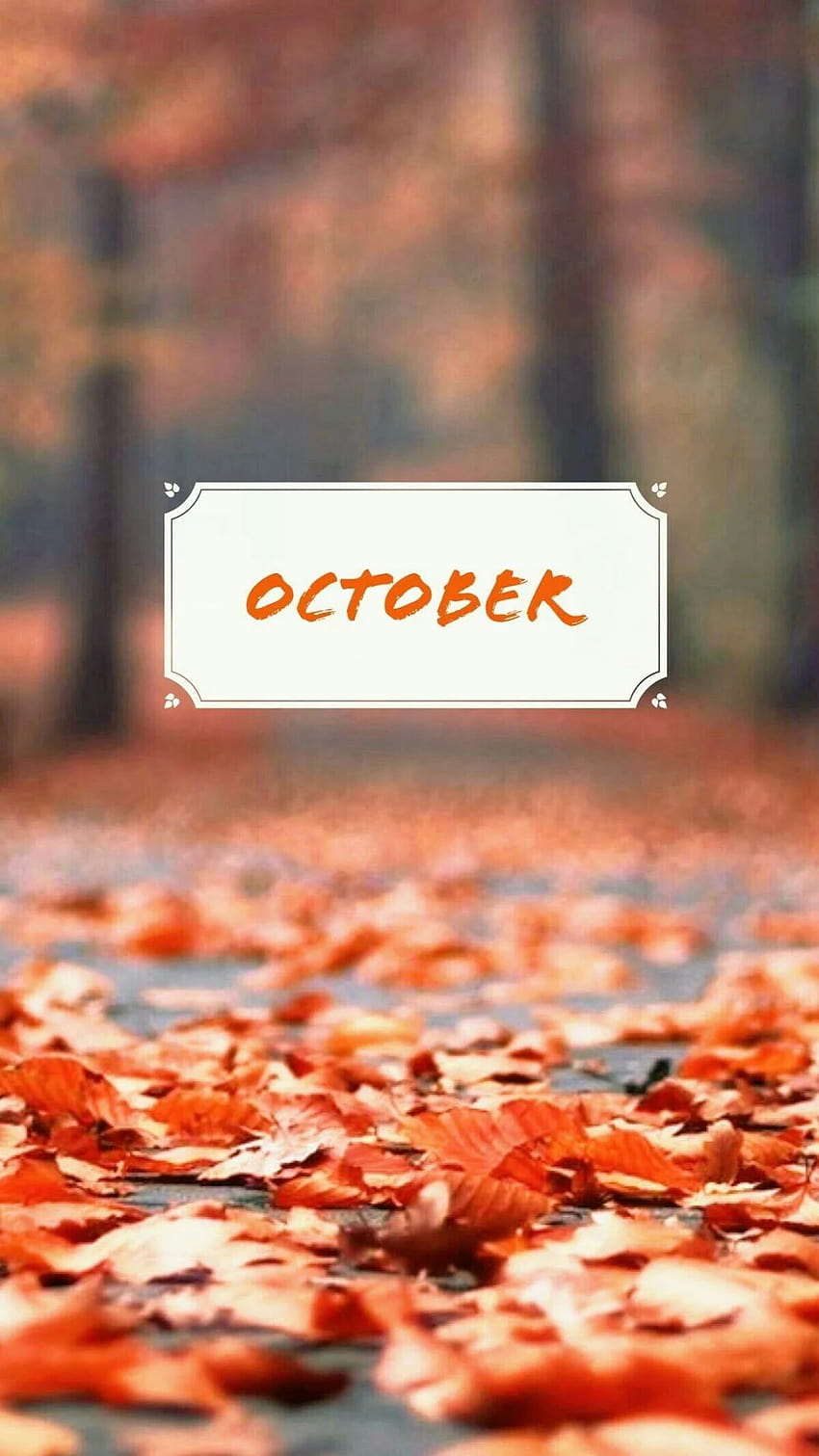 October Phone Wallpapers  Grateful Heart Shop