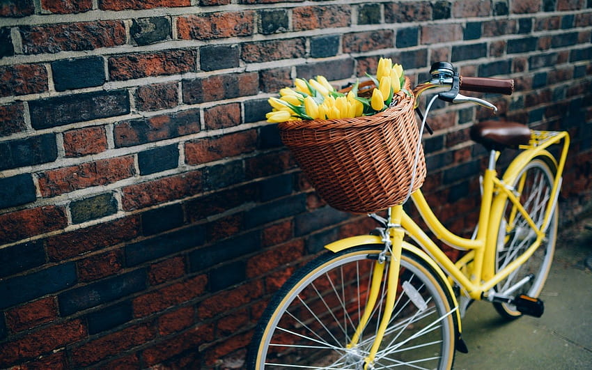 Bike Flowers Yellow Tulips Spring, spring bicycle HD wallpaper