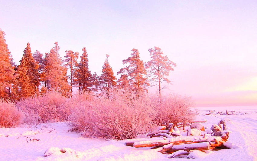 Winterscape สีชมพูสวยสุดๆ วอลล์เปเปอร์ HD