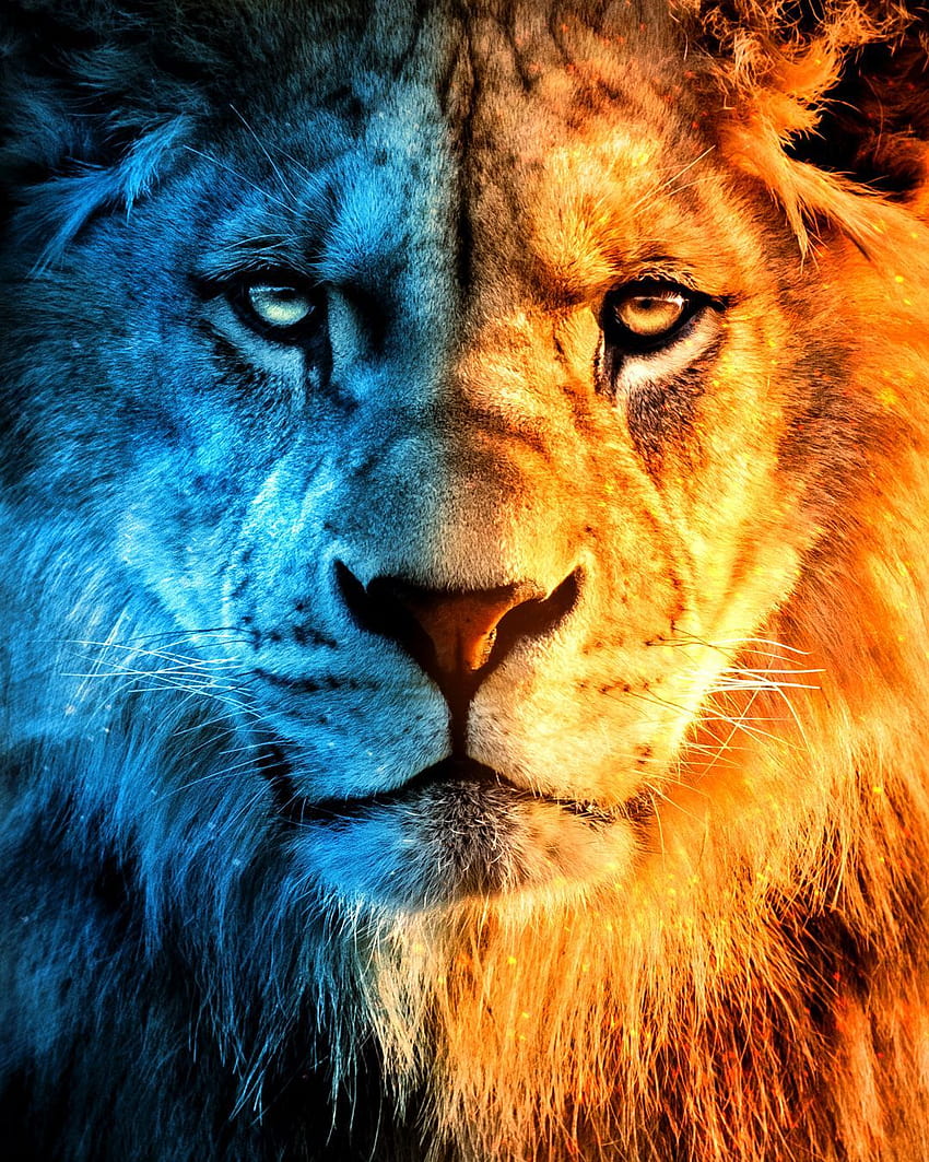 Огнен и леден лъв, публикуван от Саманта Трембли, светкавичен лъв HD тапет за телефон