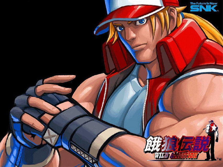 Fatal Fury HD wallpaper