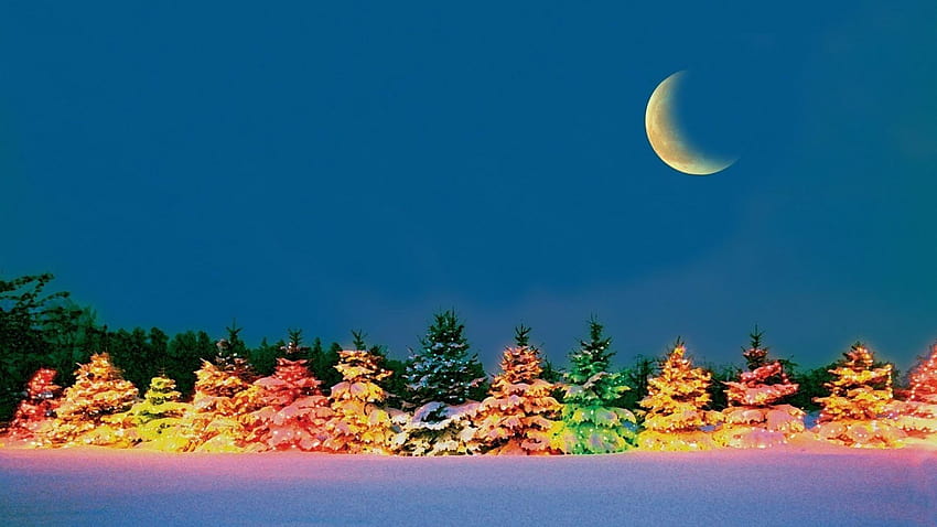 Фонове Зимна нощ, зимна нощ Коледа HD тапет