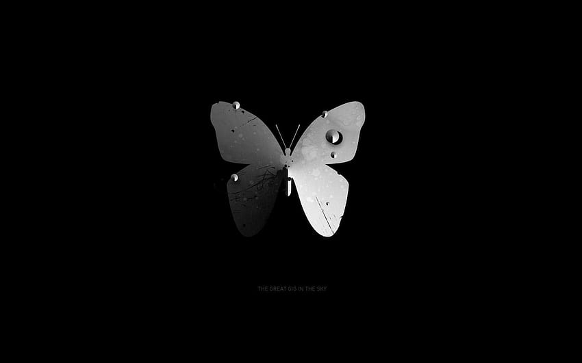 Papillon noir, anime girl papillon noir Fond d'écran HD
