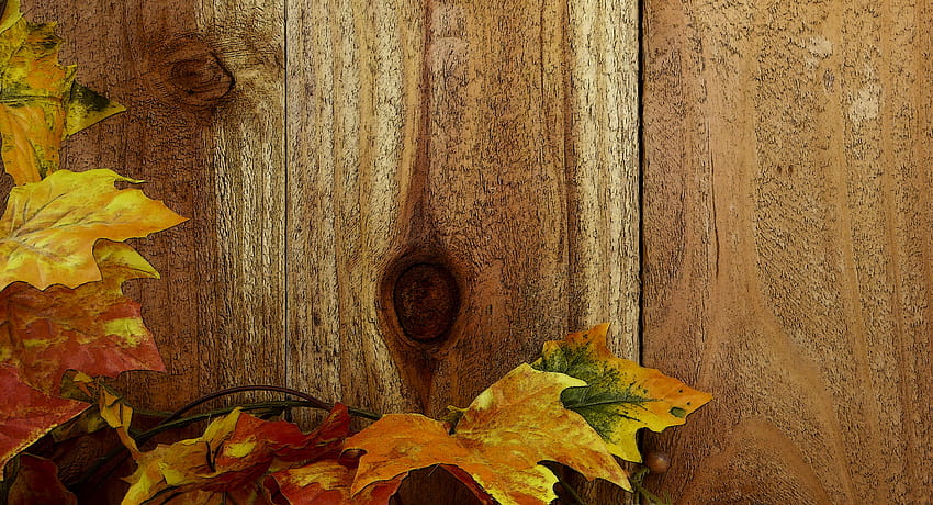 Fence & Fall Leaves Background, , autumn wooden HD wallpaper