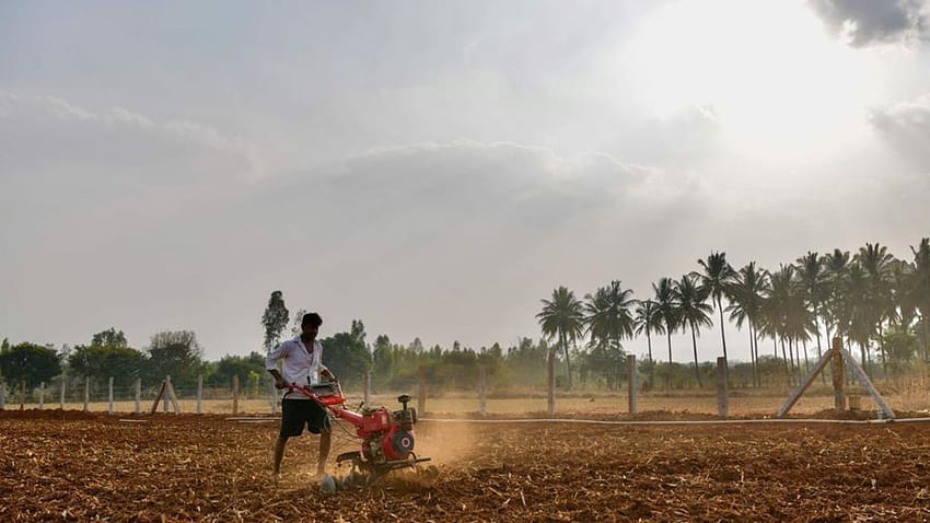 Record global food prices benefit Indian farmers, but stoke inflation fears HD wallpaper