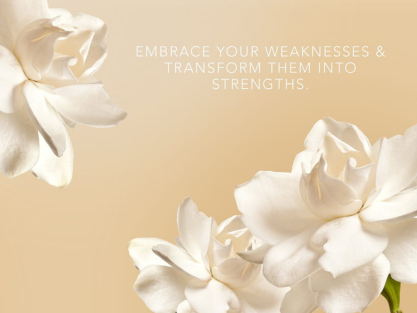 Wallpaper white macro Gardenia images for desktop section цветы   download