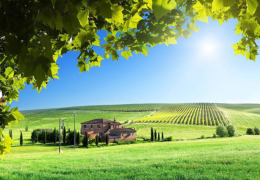 Tuscany Italy Nature Fields Scenery Building HD wallpaper