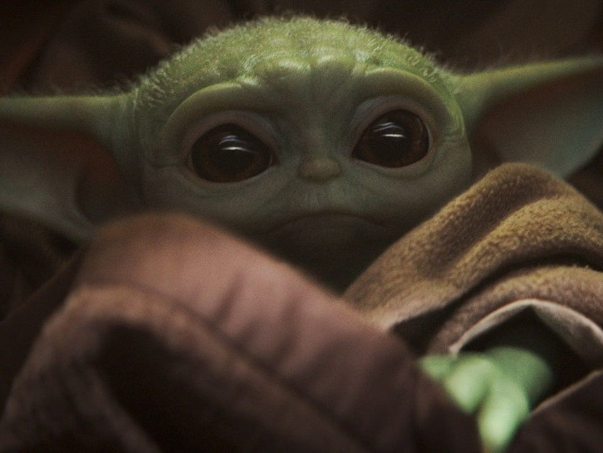 How The Mandalorian Fought to Keep Baby Yoda From Being Too Cute, mexican baby yoda HD wallpaper