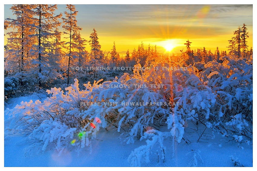 Paysage d'hiver posté par John Sellers Fond d'écran HD
