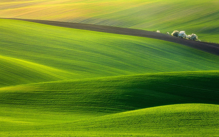 Täglich : Hügel von Mähren, Tschechische Republik HD-Hintergrundbild
