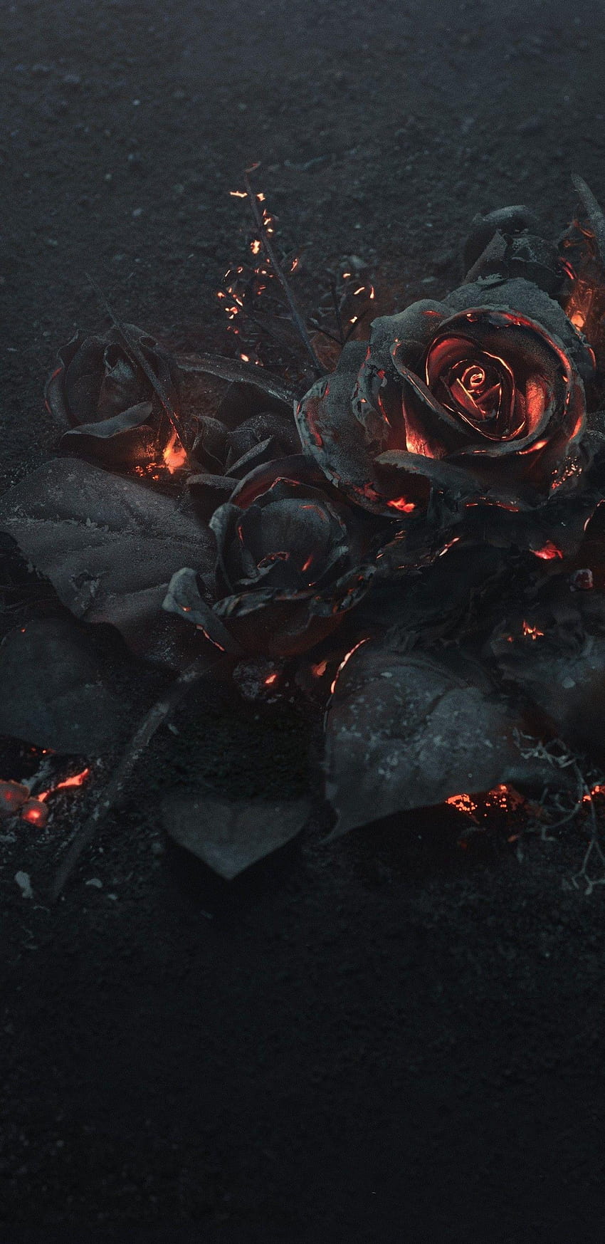 1440x2960 ​​Rose Ashes, Fire, Black, Dark Theme วอลล์เปเปอร์โทรศัพท์ HD