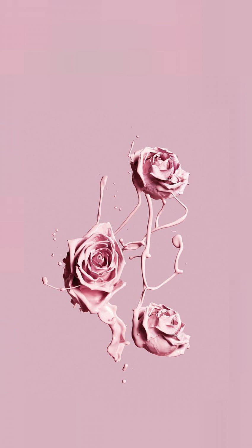 pink iphone ,pink,garden roses,rose,illustration,flower HD phone wallpaper