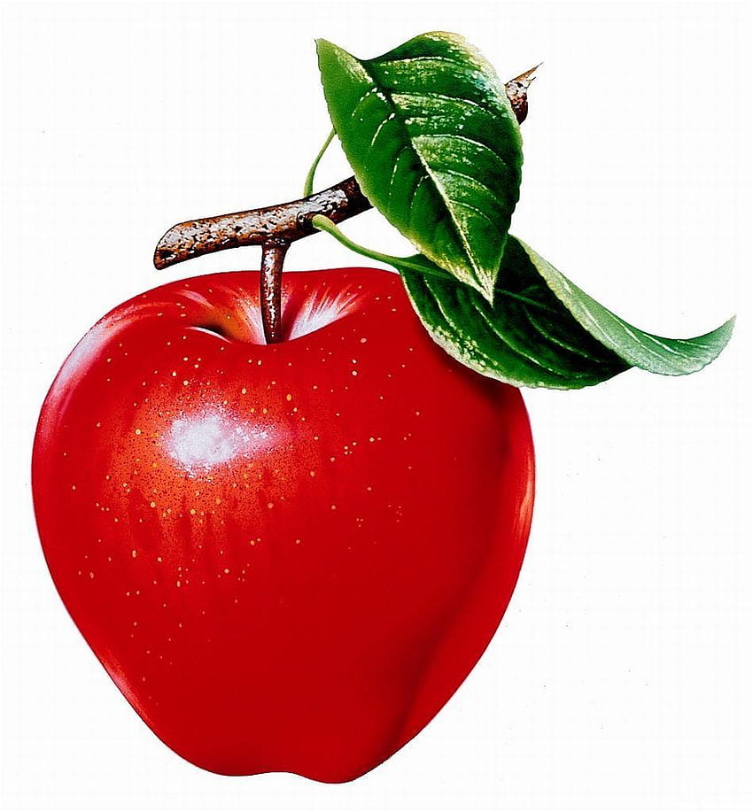 Backgrounds : Delicious apple fruit, red apple fruit HD phone wallpaper |  Pxfuel