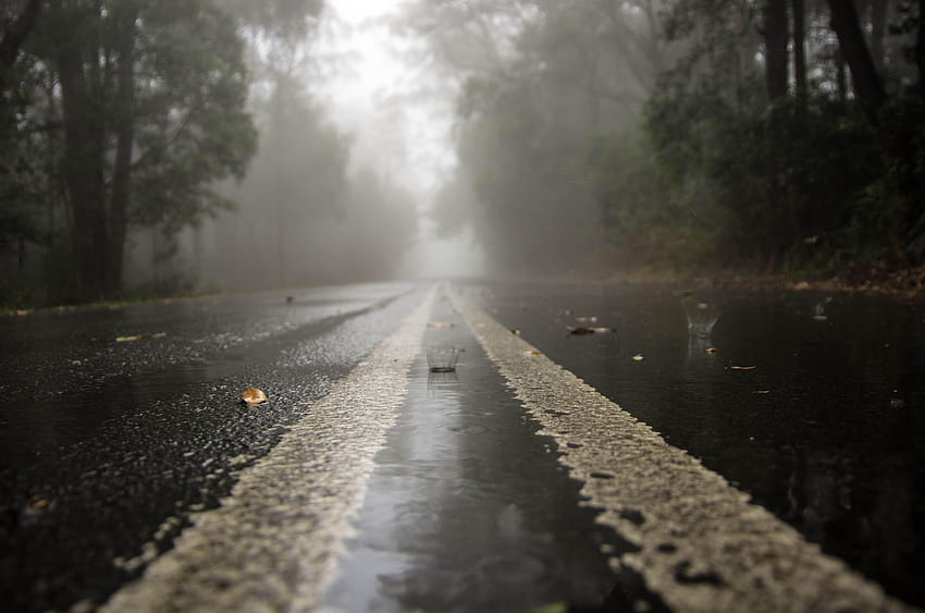 ถนนว่างเปล่าเปียกถนนป่าฝน วอลล์เปเปอร์ HD