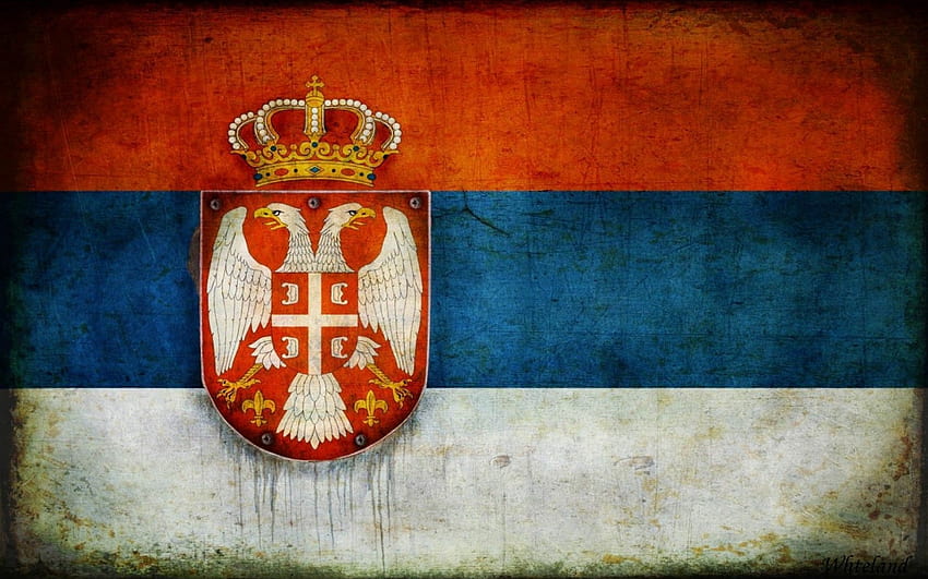 Flag of Serbia Education Logos Porsche logo [1690x1080] for your , Mobile & Tablet HD wallpaper