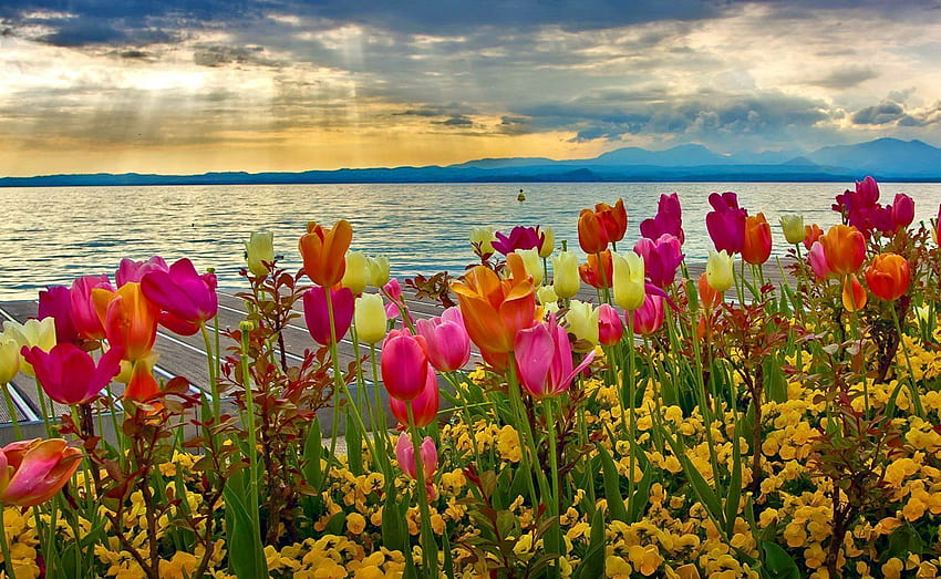 Grupa wiosenna, wiosenne jezioro Tapeta HD