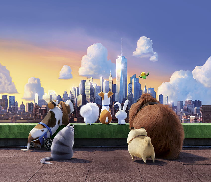 7680x4320 The Secret Life Of Pets 10k , Backgrounds, and, the secret life of pets max HD wallpaper