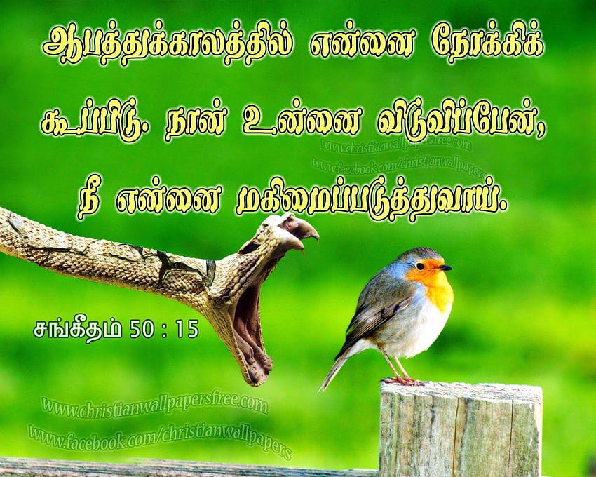 Boopathi Mohan, jesus calls HD wallpaper