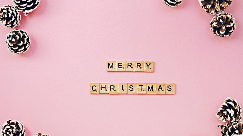 Merry Christmas greetings in pink minimalist backgrounds and pinecones, minimalist christmas pink HD wallpaper