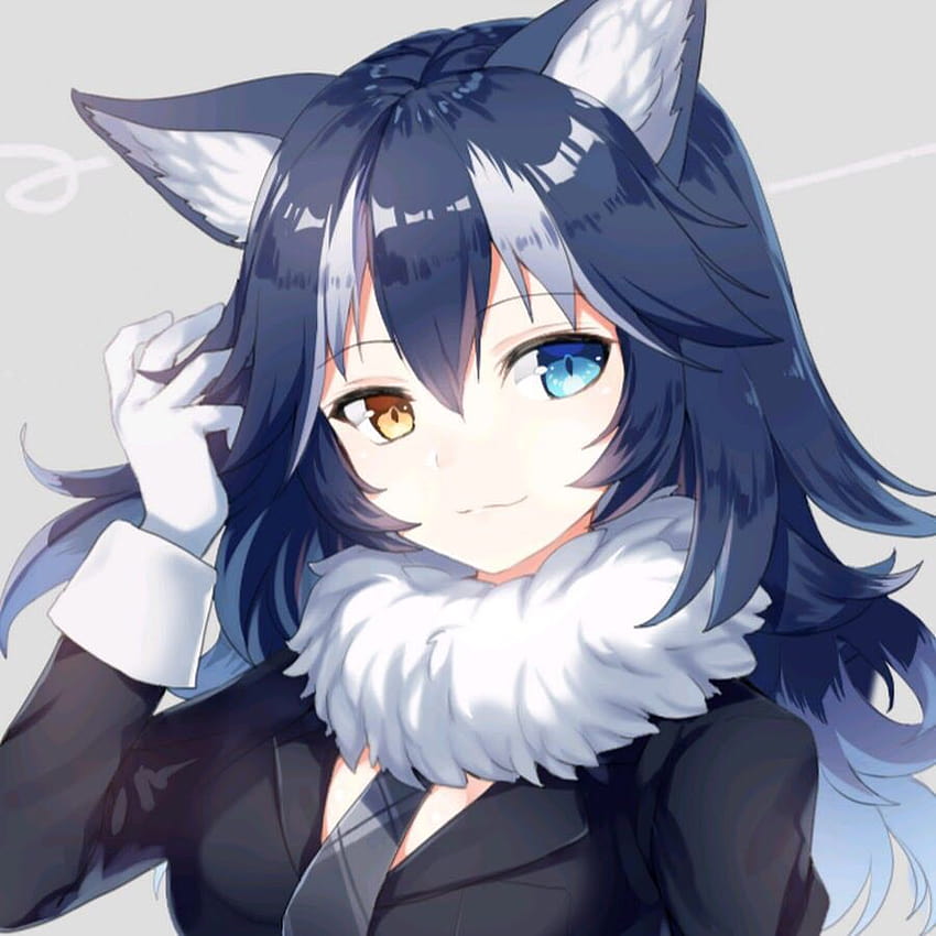 Anime Cute Wolf