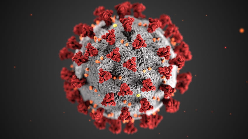 The CDC drawing of coronavirus looks much different in the hands, you colored my world HD wallpaper