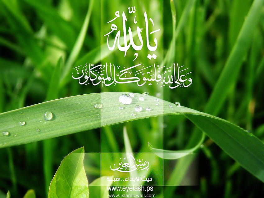 sueño: Asma Allah, 3d kaligrafi islam fondo de pantalla