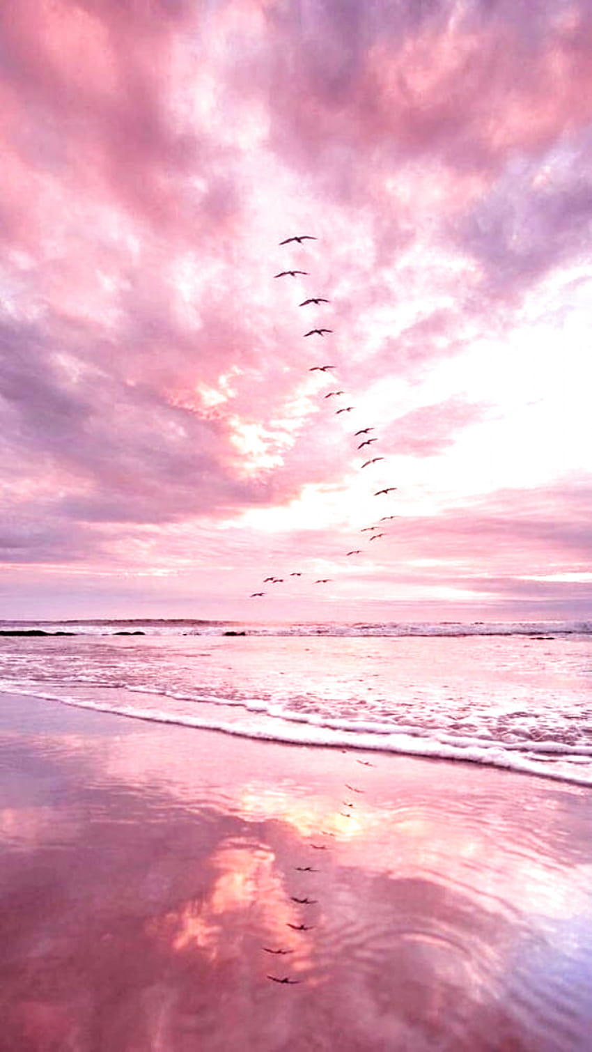 Pink Beach Wallpaper 31 Gorgeous Beach Scenes free in 2023  Pretty wallpapers  backgrounds Summer beach wallpaper Cute summer wallpapers