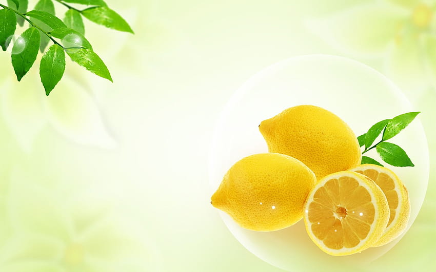 von Zitrone, Zitronenbaum HD-Hintergrundbild