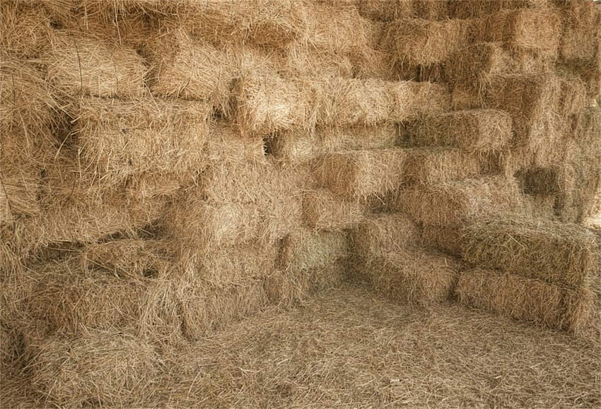 Amazon : Leyiyi 5x3ft Rustic Haystock Backdrop Autumn Straw Piles Banner Kids Happy Birtdhay Backgrounds Rural Barn Western Stable Harvest Thanksgiving Day Adults Portrait Studio Prop Vinyl : Camera & HD wallpaper