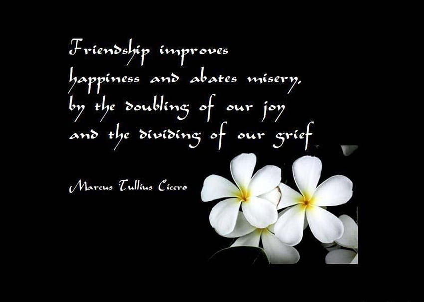Quotes About Friendship Brilliant Best Friends Forever, best friendship HD  wallpaper | Pxfuel