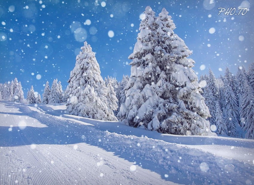 雪の結晶を追加する雪が降る冬の効果、雪が降る冬のシーン 高画質の壁紙