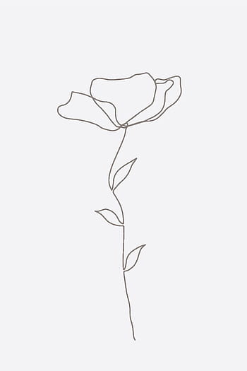 Line Drawing Of Flowers png images  PNGWing