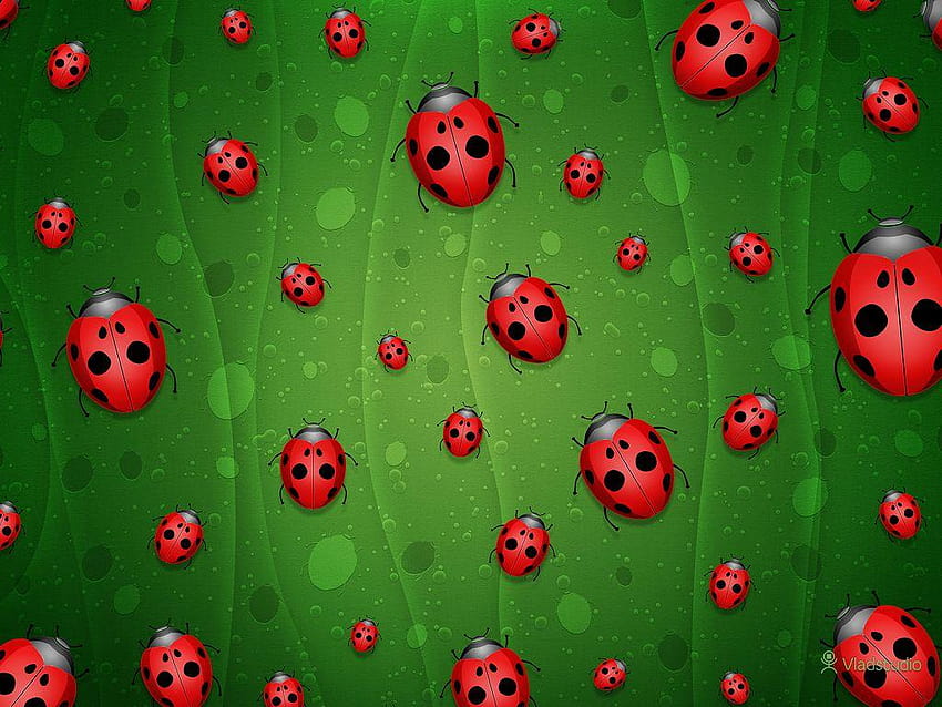 All is Full of Ladybugs · · Vladstudio HD wallpaper