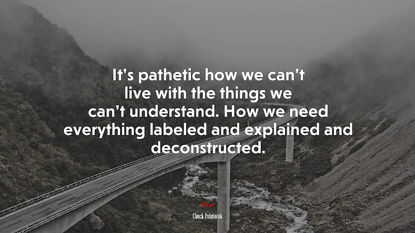 675982 It's pathetic how we can't live with the things we can't understand.  How we need everything labeled and explained and deconstructed. HD  wallpaper