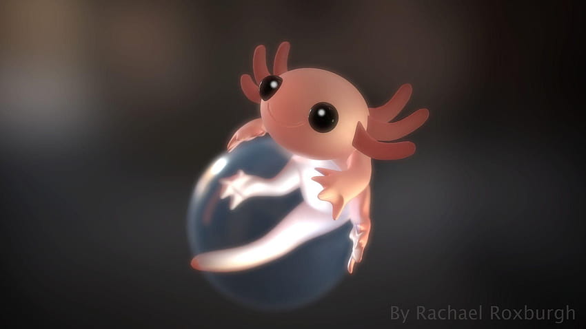 Axolotl HD wallpaper | Pxfuel