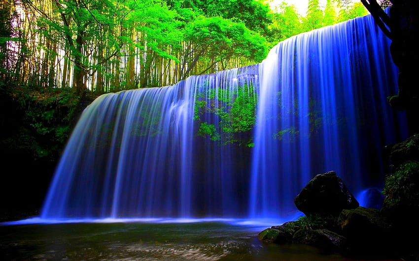 rainforest waterfalls, waterfall rainforest HD wallpaper