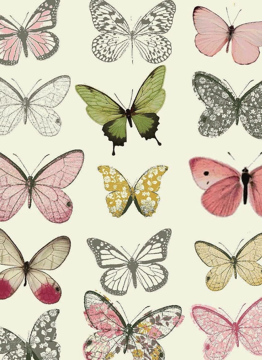 about tumblr in Pattern by Harper Nikita, butterfly tumblr HD phone wallpaper