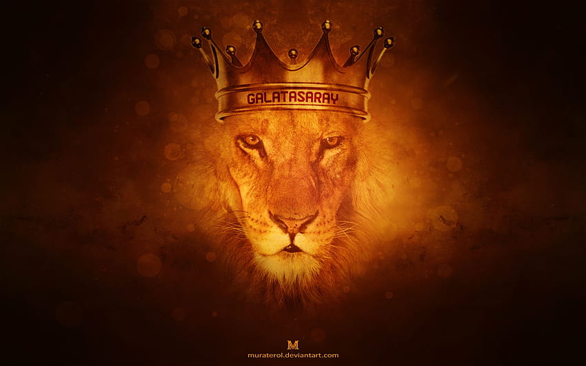 León con corona, corona de león fondo de pantalla